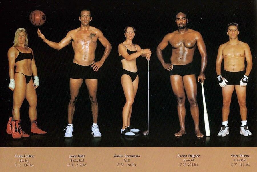 Як виглядають тіла спортсменів різних видів спорту?