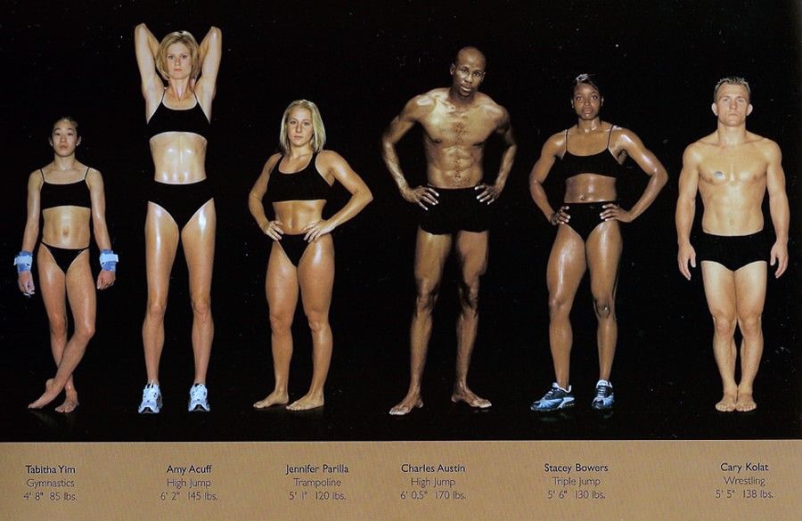 Як виглядають тіла спортсменів різних видів спорту?
