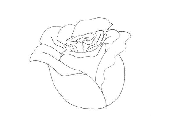 Малюємо листочки на троянди олівцем