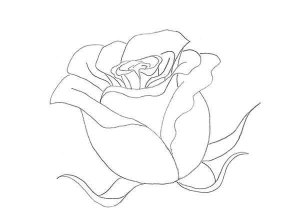 Етап малювання троянди наступний