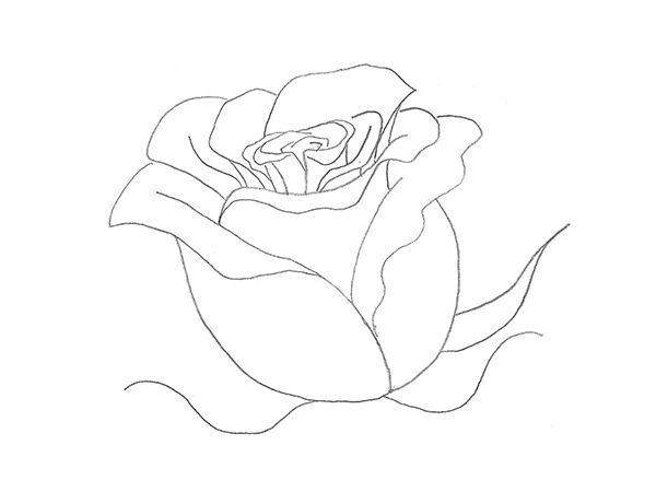 Як намалювати листя та стебло троянди