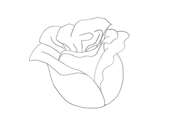 Бутон троянди з пелюстками намальовані на папері