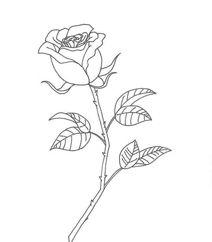 Картинка готової мальованої красивої трояндочки