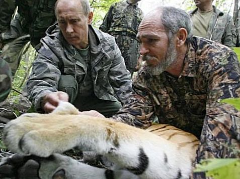 Путін полював на тигра